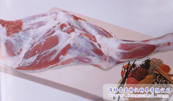 帶腿骨羊肉